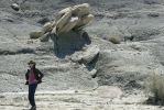 PICTURES/Bisti Badlands in De-Na-Zin Wilderness/t_Tree Frog2.JPG